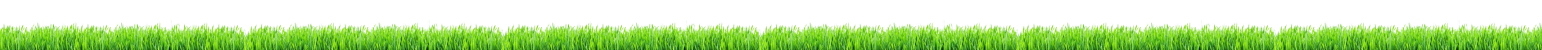 grass border